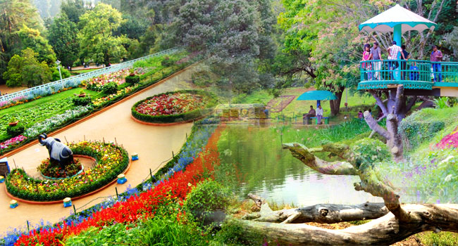 greenery of Ooty