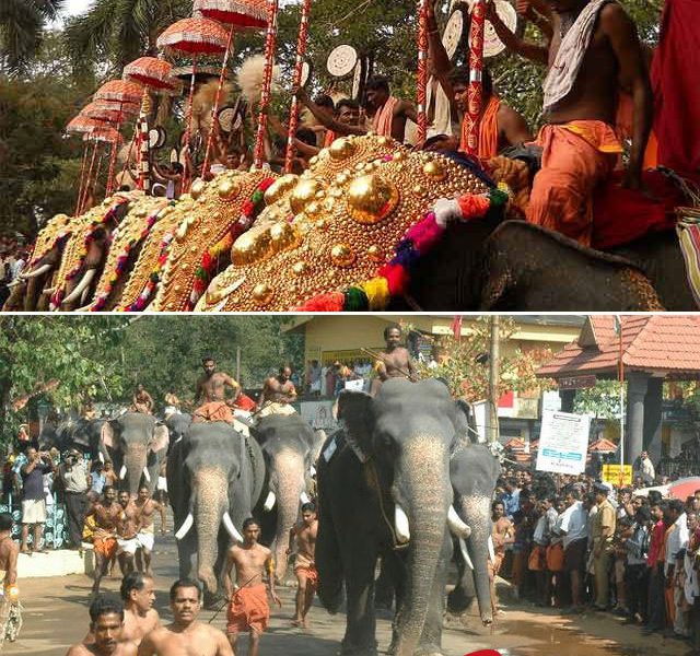 kerala-elephant-race-at-gur