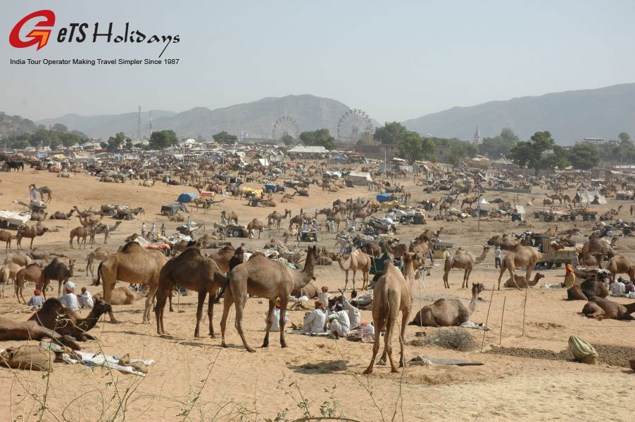 rajasthan-Pushkar-fair-tour