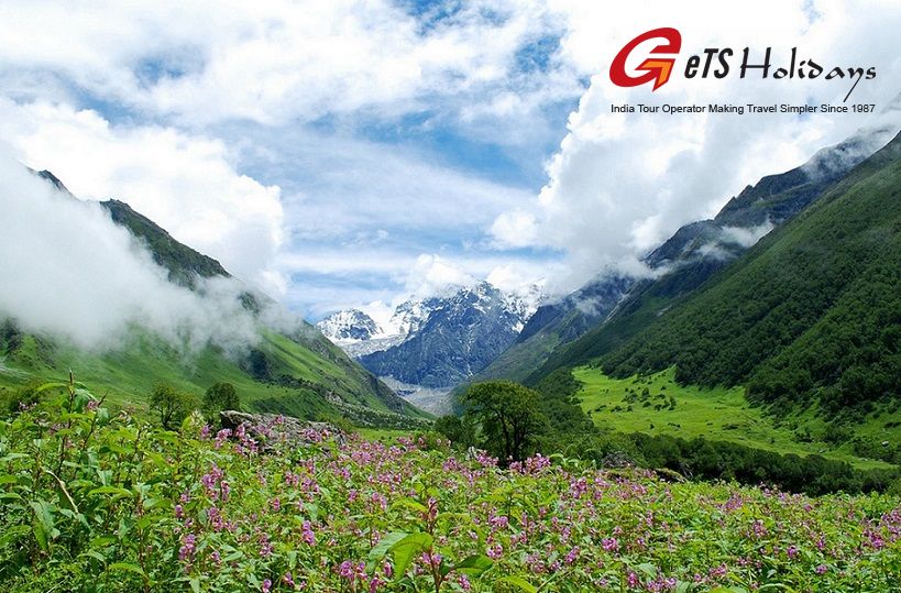 Valley of Flowers Uttrakhand